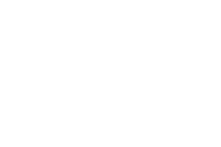 My Twin Flame Journey